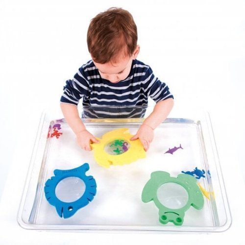 3 Pack Softie Marine Magnifiers,The Softie Marine Magnifiers set introduces a delightful and educational tool designed specifically for young explorers. Comprising three chunky magnifiers with lightweight, soft EVA foam surrounds, this set is not only perfect for little hands to grip but also adds an element of fun to observation and discovery. Each magnifier is shaped and colored like a different marine animal: a yellow turtle, a blue fish, and a green frog, making them attractive and engaging for children