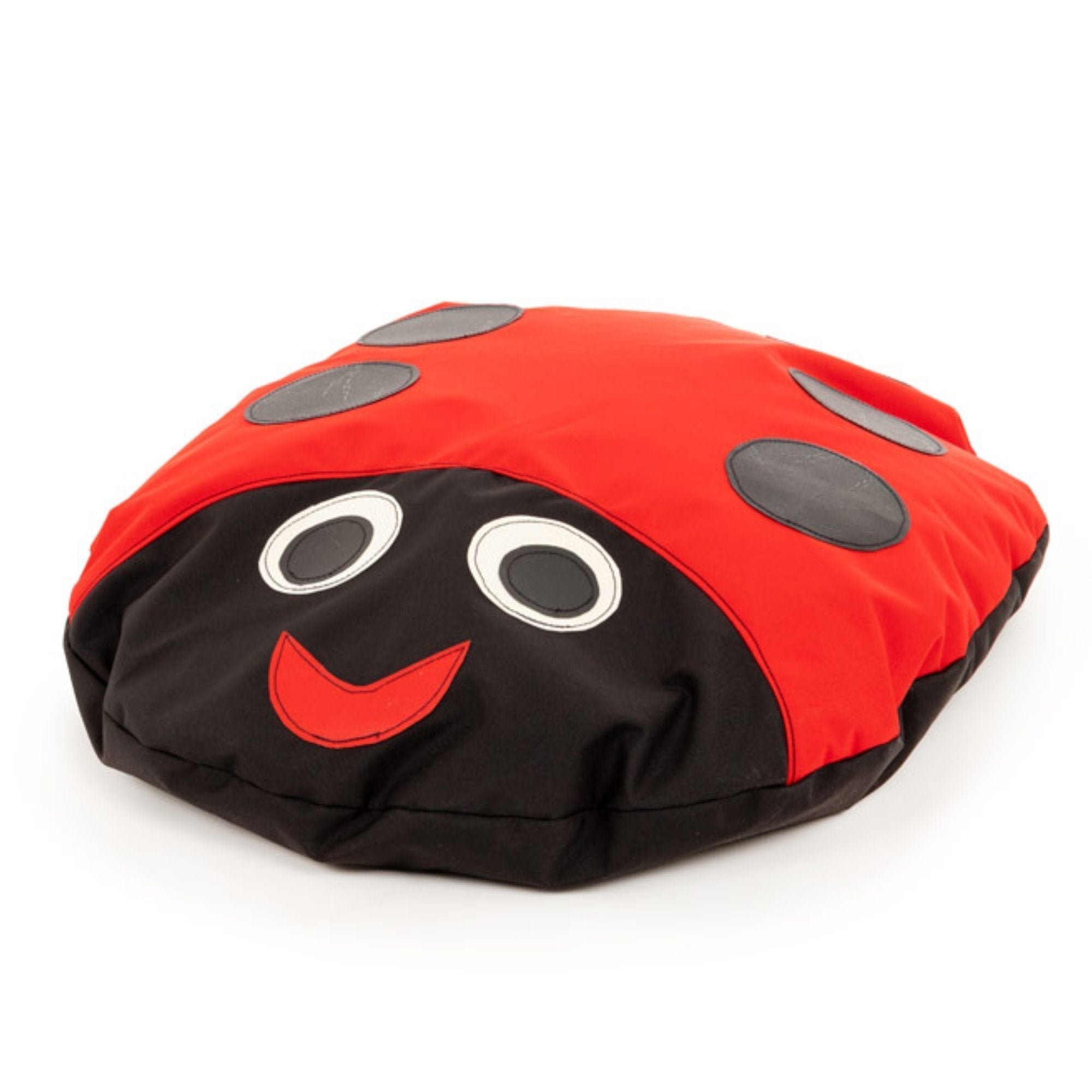 Cosy Friends Ladybird Cushion,Create the perfect learning atmosphere in the classroom with the Cosy Friends Ladybird Cushion.The Cosy Friends Ladybird Cushion is a colourful stylish addition to any classroom setting with vibrant colours that will create a delightful focal point.Children will love the vibrant colours these Ladybird cushions add to your room. They are made in water resistant fabric with sewn on designs, creating a high quality finished product. The beans are contained and fully stitched for a