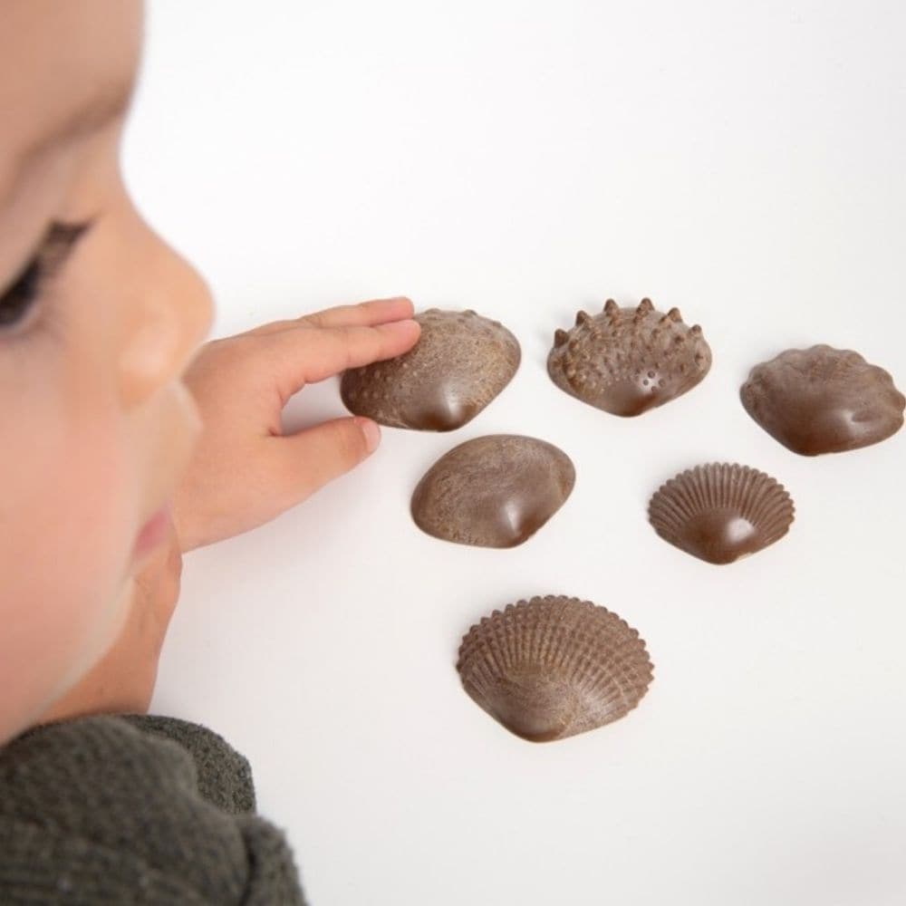 Eco Friendly Tactile Shells Pack 36,These specially designed Eco Friendly Tactile Shells Pack 36 have different tactile surfaces and come in 3 sizes. The Eco Friendly Tactile Shells Pack 36 are made from natural Fibre Particulate Composite (FPC), an agricultural waste product from rice stems and rice husks. Children will love to touch and feel these Eco Friendly Tactile Shells Pack 36, describing the differences and similarities. The Eco Friendly Tactile Shells Pack 36are also ideal to teach early number co