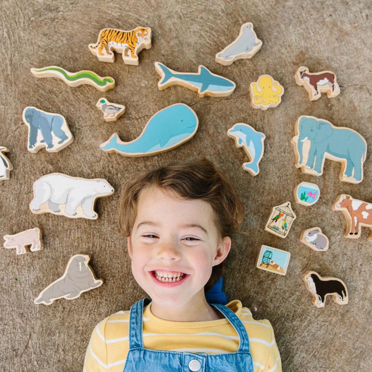 Happy Architect Animals In Their Habitat,This brightly coloured, illustrated Happy Architect Animals in their Habitat set is perfect for open-ended imaginative play. Happy Architect Animals in Their Habitat include sea, pet shop, farm, wild and arctic scenes showing the different ways animals live both in the wild and on domestic settings.A unique construction toy, this generous set contains 30 pieces that come together to create five different environments. These include an ice-capped polar scene, the Asia