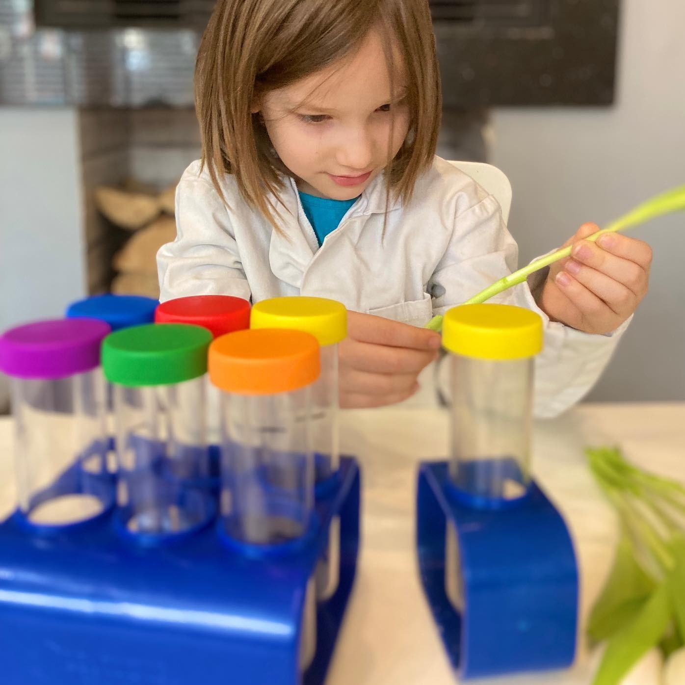 Primary Science® Jumbo Test Tubes With Stand,Primary Science® Jumbo Test Tubes with Stand: Hands-On Learning for Budding Scientists Introduce young learners to the fascinating world of science with the Primary Science® Jumbo Test Tubes with Stand. Designed specifically for hands-on learning, these oversized and colourful test tubes are ideal for sparking curiosity and encouraging exploration in budding scientists. Key Features: Durable Construction: Made of sturdy plastic, these jumbo test tubes are built t